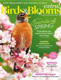 Birds & Bloom Extra