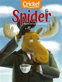 Spider