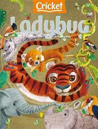 Ladybug