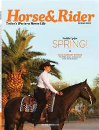 Horse & Rider