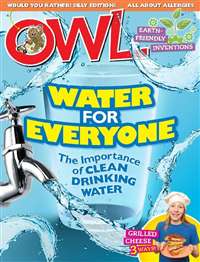 Owl