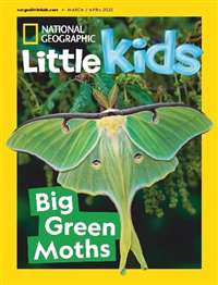National Geographic For Little Kids