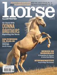 Horse Illustrated