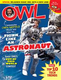 Owl (Canadian)