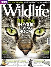 BBC Wildlife