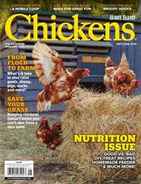 Chickens