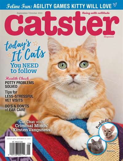 Catster Magazine Subscription United States