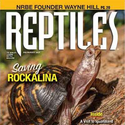 Reptiles Magazine Subscription Canada