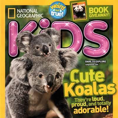 Start a Reservation visual data 2